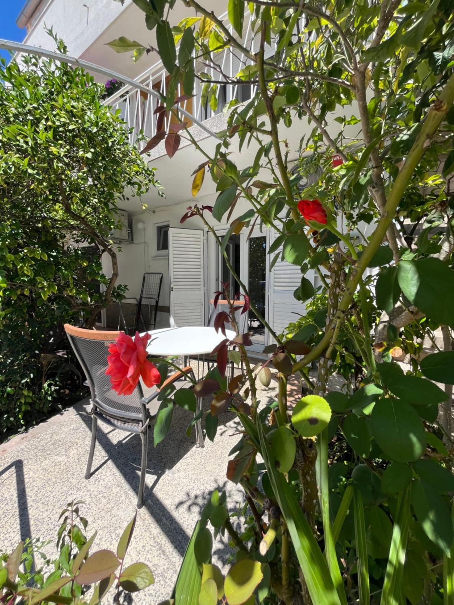 Green Oasis For Two, 30 Meters From Sea Apartment Zadar Luaran gambar